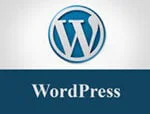 دورة Learn Complete WordPress for Building a Professional Sites كورس سيت courseset com