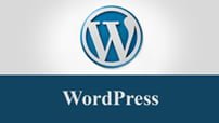 دورة Learn Complete WordPress for Building a Professional Sites كورس سيت courseset com