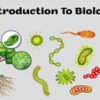 دورة Biology for 2ry school كورس سيت courseset com