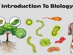 دورة Biology for 2ry school كورس سيت courseset com