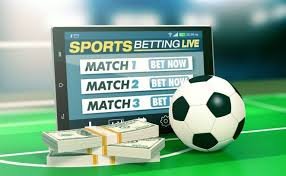 Betwinner Your Gateway to Premier Online Betting